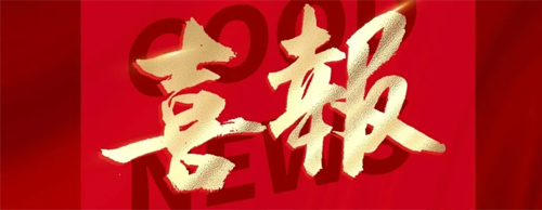 博天堂网址电气同轴主辅高低压无刷同步发电机获国家授权发明专利！