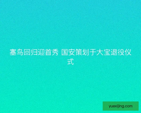 塞鸟回归迎首秀 国安策划于大宝退役仪式