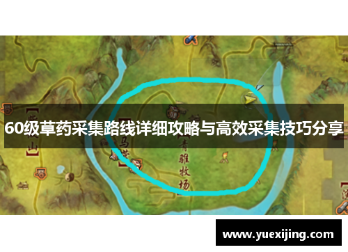 60级草药采集路线详细攻略与高效采集技巧分享