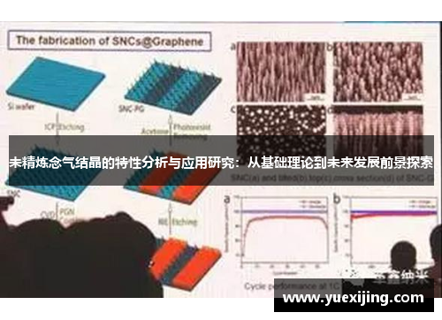 未精炼念气结晶的特性分析与应用研究：从基础理论到未来发展前景探索