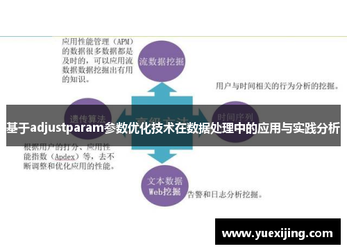 基于adjustparam参数优化技术在数据处理中的应用与实践分析